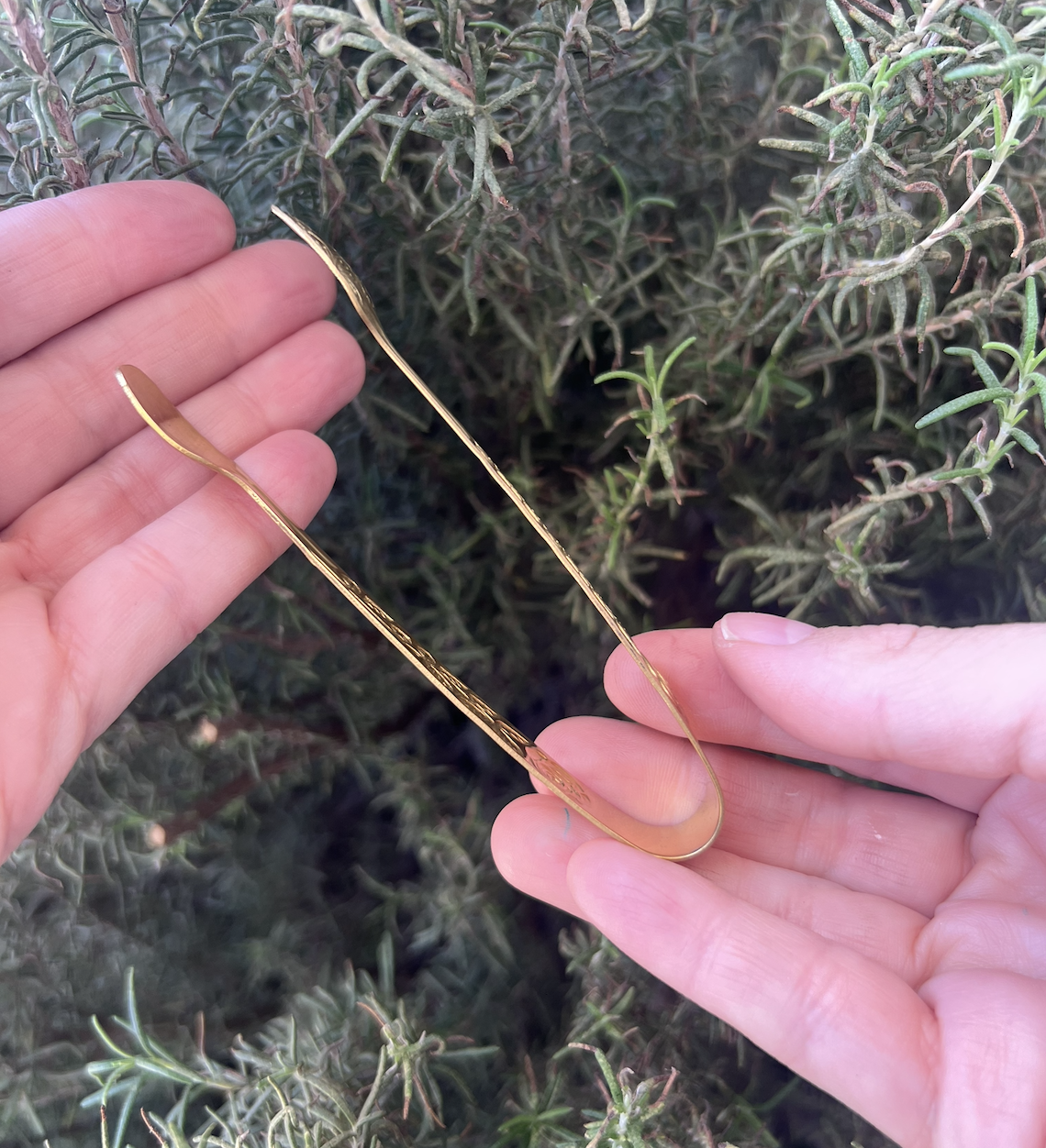 Pinzas para carbón⎮Grabada dorada